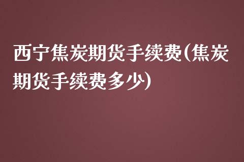 西宁焦炭期货手续费(焦炭期货手续费多少)