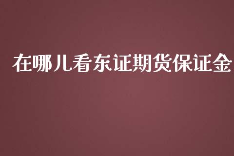 在哪儿看东证期货保证金