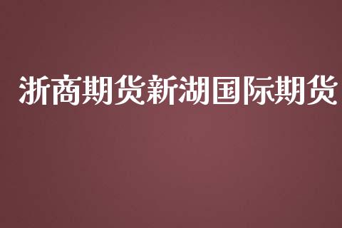 浙商期货新湖国际期货