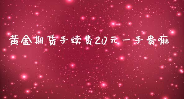 黄金期货手续费20元一手贵嘛