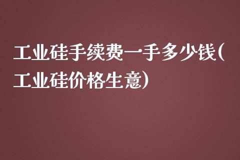 工业硅手续费一手多少钱(工业硅价格生意)