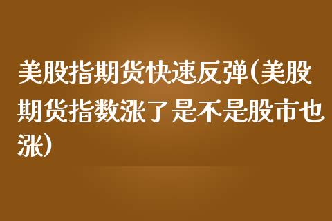 美股指期货快速反弹(美股期货指数涨了是不是股市也涨)