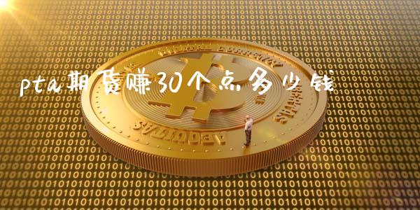 pta期货赚30个点多少钱