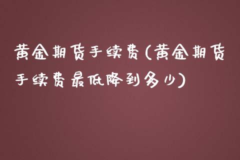 黄金期货手续费(黄金期货手续费最低降到多少)