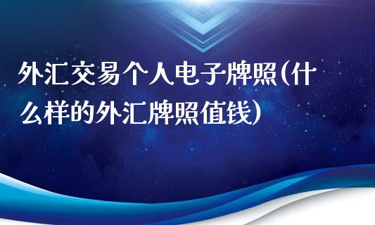 外汇交易个人电子牌照(什么样的外汇牌照值钱)