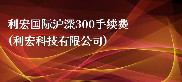 利宏国际沪深300手续费(利宏科技有限公司)