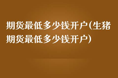 期货最低多少钱开户(生猪期货最低多少钱开户)