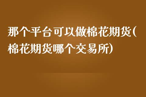 那个平台可以做棉花期货(棉花期货哪个交易所)