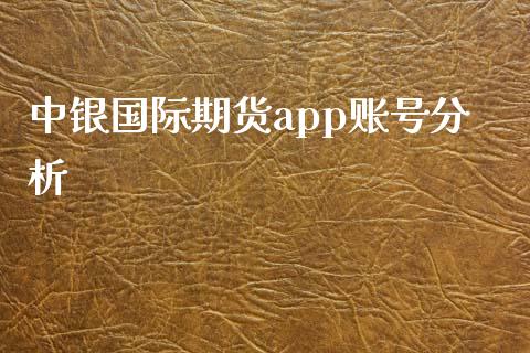 中银国际期货app账号分析