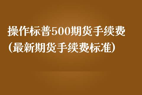 操作标普500期货手续费(最新期货手续费标准)