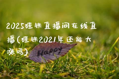 2025硅铁直播间在线直播(硅铁2021年还能大涨吗)