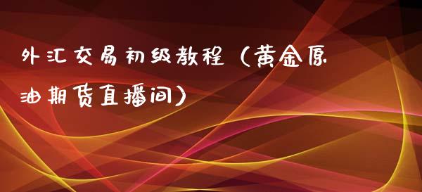 外汇交易初级教程（黄金原油期货直播间）