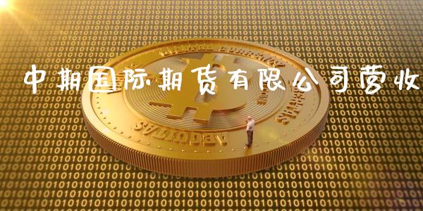 中期国际期货有限公司营收