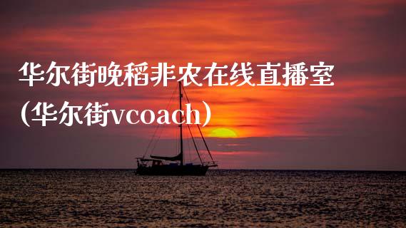 华尔街晚稻非农在线直播室(华尔街vcoach)