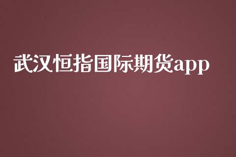 武汉恒指国际期货app