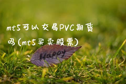 mt5可以交易PVC期货吗(mt5买卖股票)