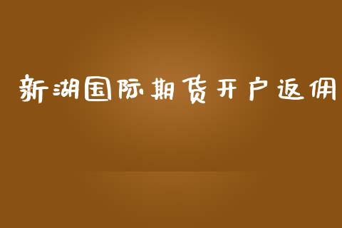 新湖国际期货开户返佣