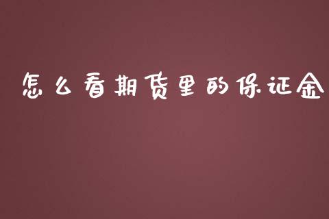 怎么看期货里的保证金