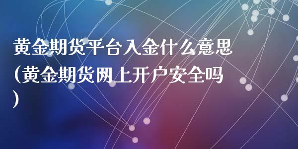 黄金期货平台入金什么意思(黄金期货网上开户安全吗)