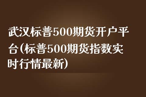 武汉标普500期货开户平台(标普500期货指数实时行情最新)