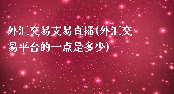 外汇交易支易直播(外汇交易平台的一点是多少)