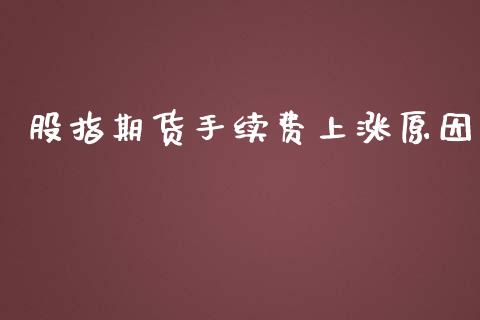 股指期货手续费上涨原因