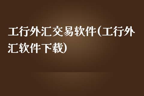 工行外汇交易软件(工行外汇软件下载)