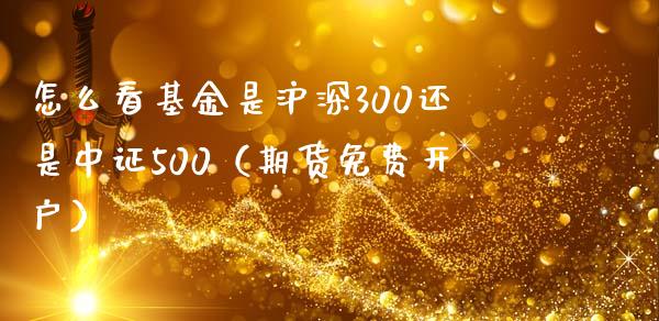 怎么看基金是沪深300还是中证500（期货免费开户）