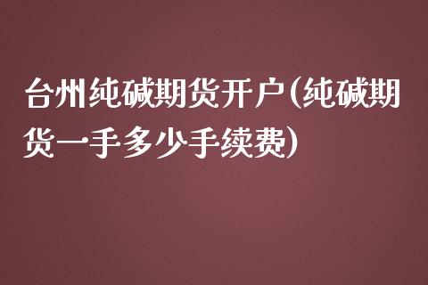 台州纯碱期货开户(纯碱期货一手多少手续费)