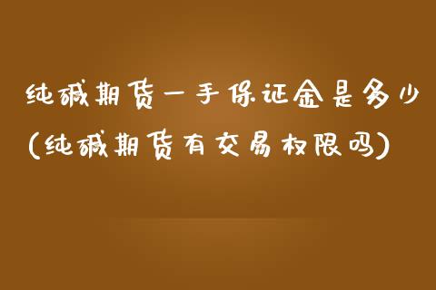 纯碱期货一手保证金是多少(纯碱期货有交易权限吗)