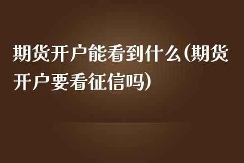 期货开户能看到什么(期货开户要看征信吗)