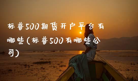 标普500期货开户平台有哪些(标普500有哪些公司)