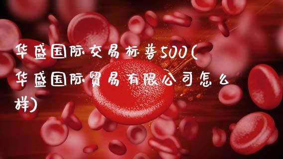 华盛国际交易标普500(华盛国际贸易有限公司怎么样)