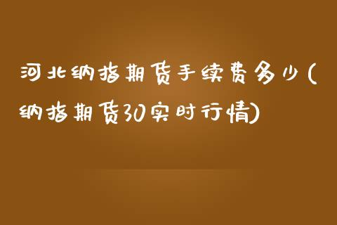 河北纳指期货手续费多少(纳指期货30实时行情)