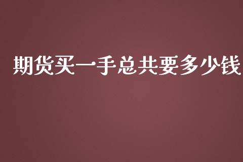 期货买一手总共要多少钱