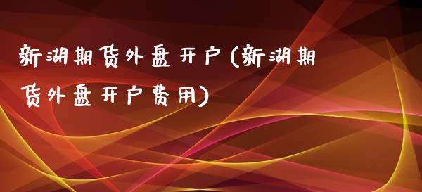 新湖期货外盘开户(新湖期货外盘开户费用)