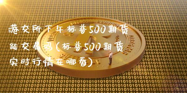 港交所下午标普500期货能交易吗(标普500期货实时行情在哪看)