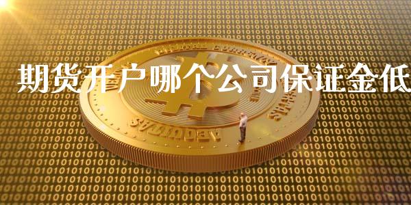 期货开户哪个公司保证金低