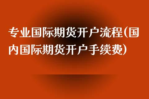 专业国际期货开户流程(国内国际期货开户手续费)