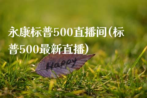 永康标普500直播间(标普500最新直播)