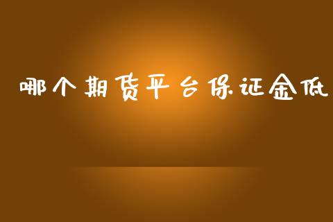 哪个期货平台保证金低