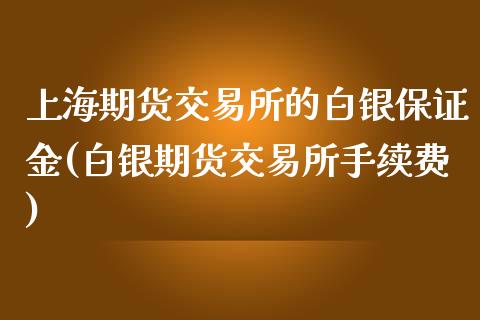 上海期货交易所的白银保证金(白银期货交易所手续费)