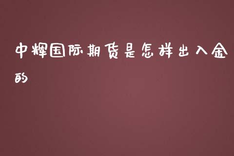 中辉国际期货是怎样出入金的