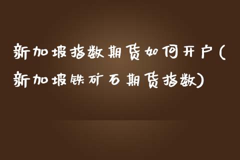 新加坡指数期货如何开户(新加坡铁矿石期货指数)