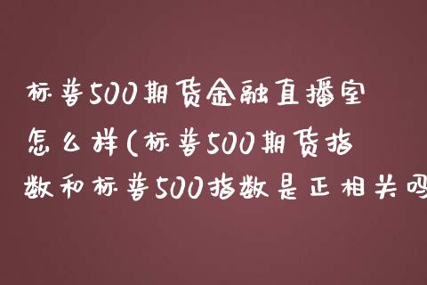 标普500期货金融直播室怎么样(标普500期货指数和标普500指数是正相关吗)