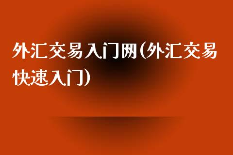 外汇交易入门网(外汇交易快速入门)