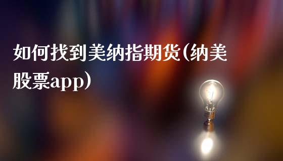 如何找到美纳指期货(纳美股票app)