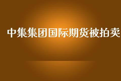 中集集团国际期货被拍卖