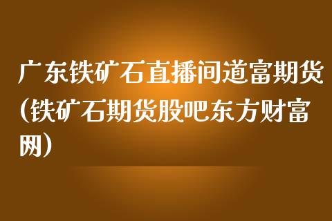 广东铁矿石直播间道富期货(铁矿石期货股吧东方财富网)