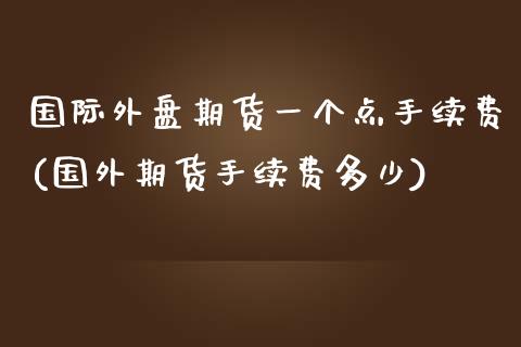 国际外盘期货一个点手续费(国外期货手续费多少)